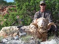 2008_merino