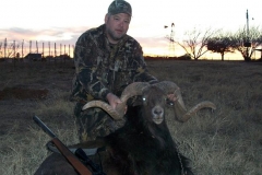 black_ram-1