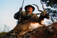 blackbuck-1