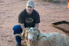 merino_2