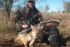 coyote-turkey