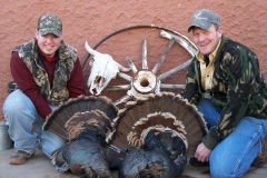 turkeys