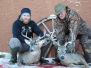 Whitetail Deer
