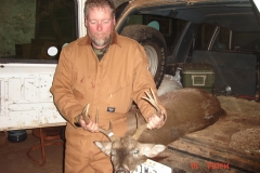 deer-1