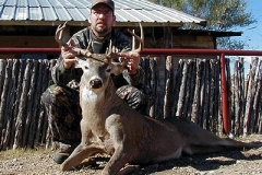 deer-missouri4