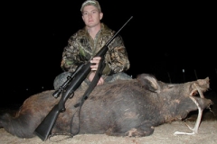 hog-1