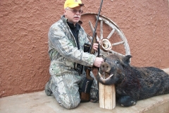 hog-4