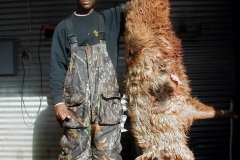 hog-8