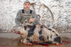 hog-fl
