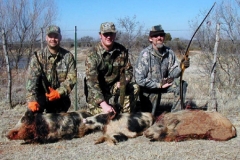 hogs-04