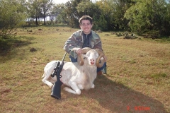 2006-dall-rifle