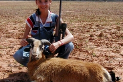 ram